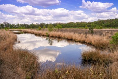 Moor manzara görünümünü