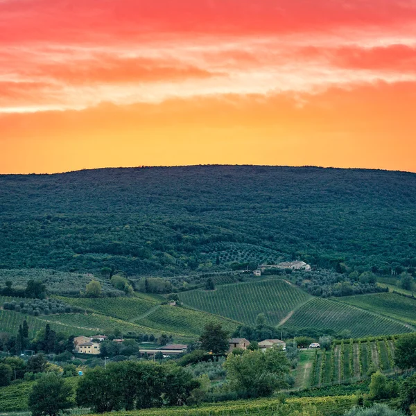 Visa fält i Toscana — 图库照片