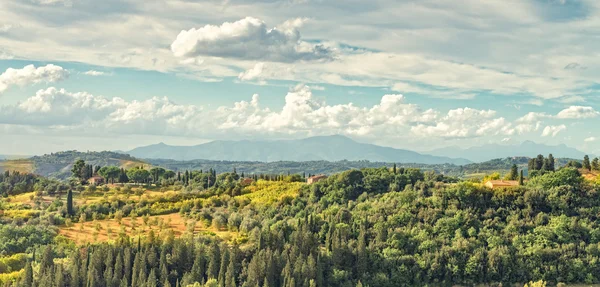 Vista de campos en Toscana — Foto de Stock