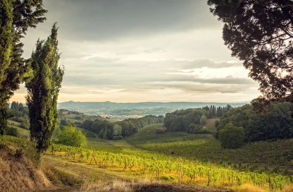 Vista de campos na Toscana — Fotografia de Stock