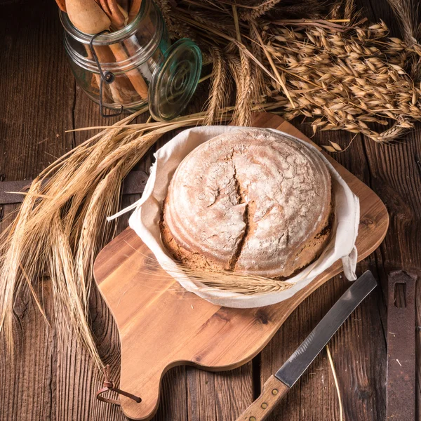 Färskt hembakat bröd — Stockfoto