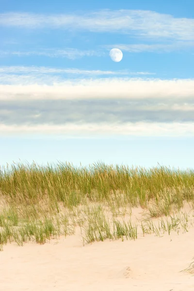 Pittoresk utsikt över dune — Stockfoto