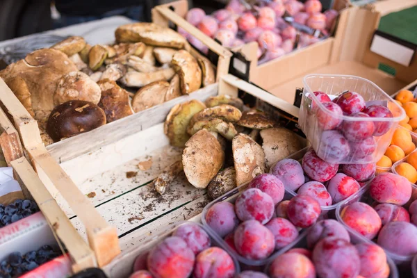 Mushrooms at weekly market — Stock Photo, Image