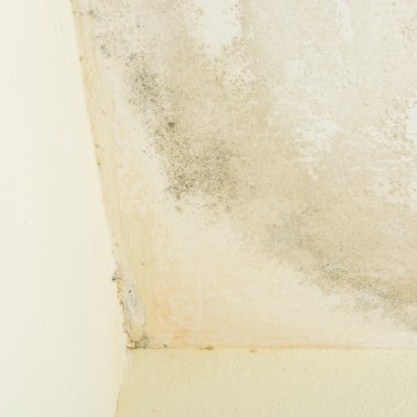 Duvar kalıp ile kaplı