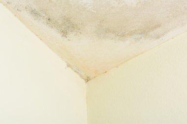 Duvar kalıp ile kaplı