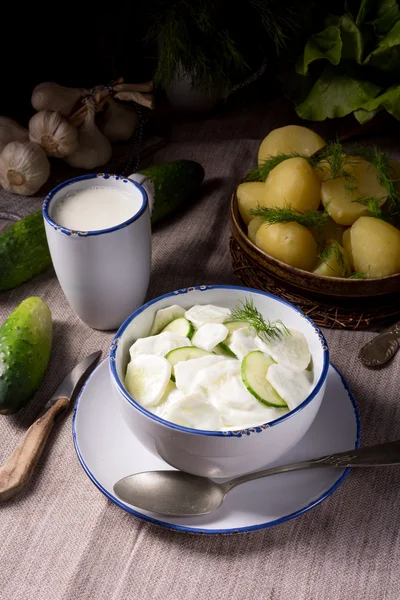 Mizeria Polish cucumber salad — Stock Photo, Image