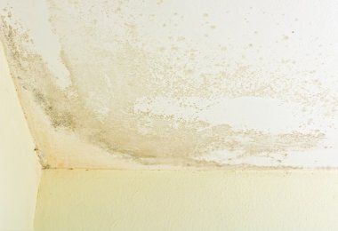 Duvar kalıp ile kaplı