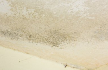 Duvar kalıp ile kaplı