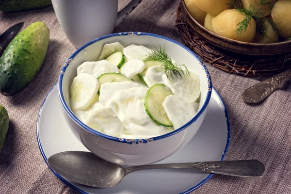 Salada de pepino polonês Mizeria — Fotografia de Stock