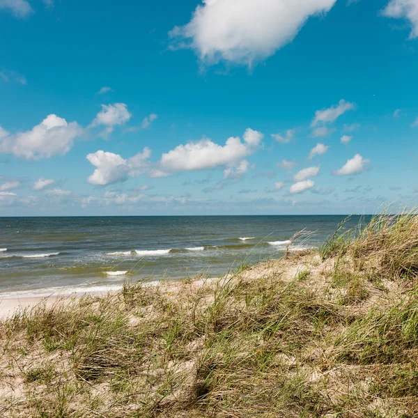 Vue pittoresque de la dune — Photo