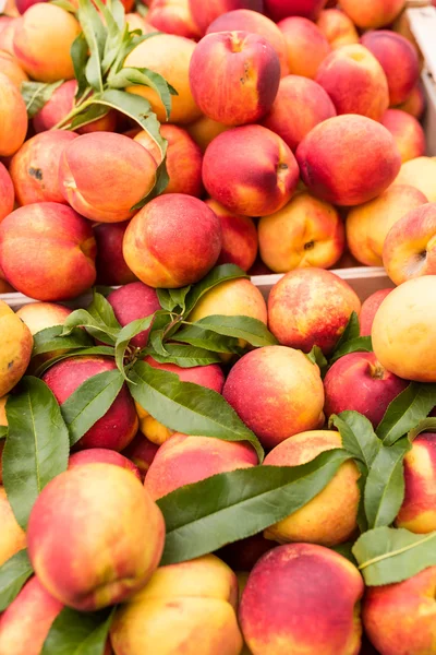 Pêches au marché hebdomadaire — Photo