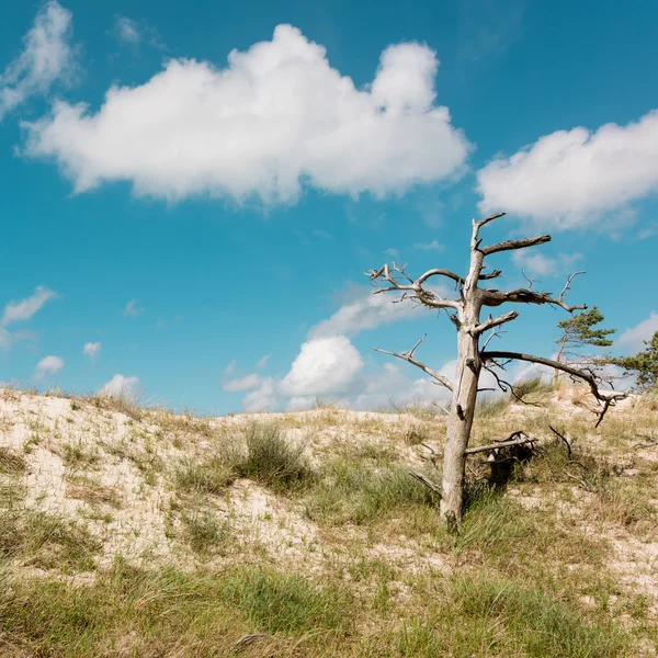 Schilderachtig uitzicht van Duin — Stockfoto