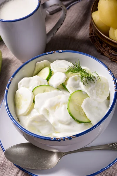 Mizeria Polish cucumber salad — Stock Photo, Image