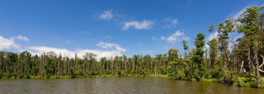 Doğal Slowinski peyzaj