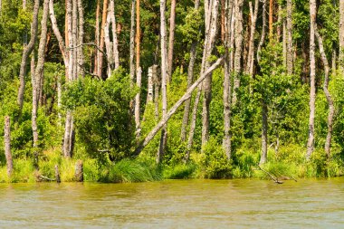 Manzara Slowinski manzara