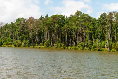 Manzara Slowinski manzara