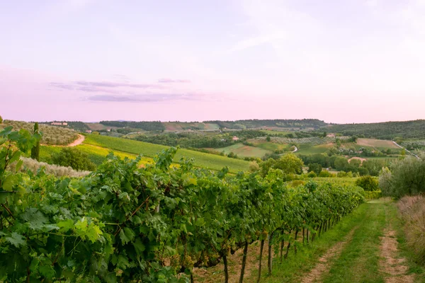 Vista panoramica della Provenza — Foto Stock