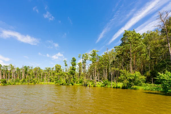 Paesaggio panoramico Slowinski — Foto Stock