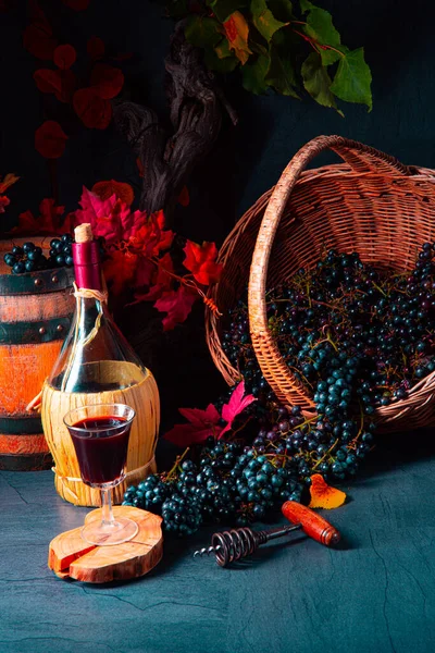 Uvas Cesta Con Hojas Vino Árboles — Foto de Stock