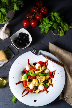 Mozzarella soslu rustik tortellini makarna salatası.