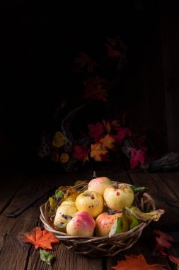 Sonbahar elma toplama zamanıdır.