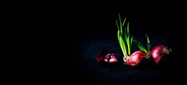 Yeşil saplı kırmızı soğan