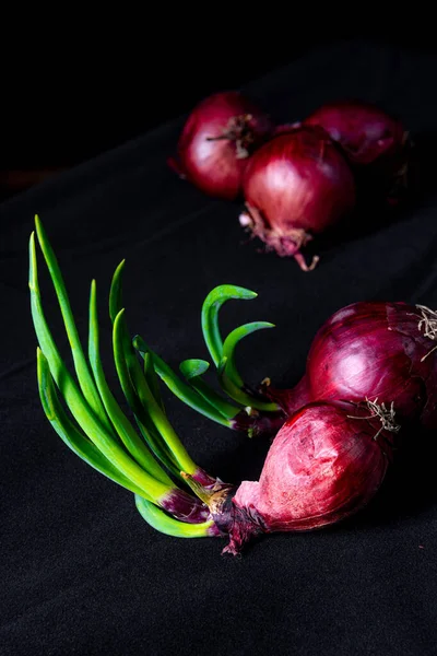 Red Onions Green Stems — Stock Photo, Image