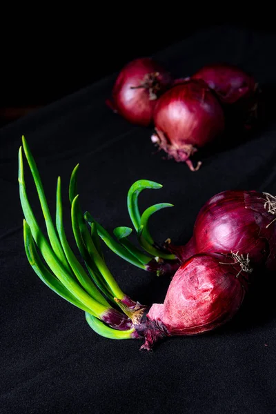 Röd Lök Med Gröna Stjälkar — Stockfoto