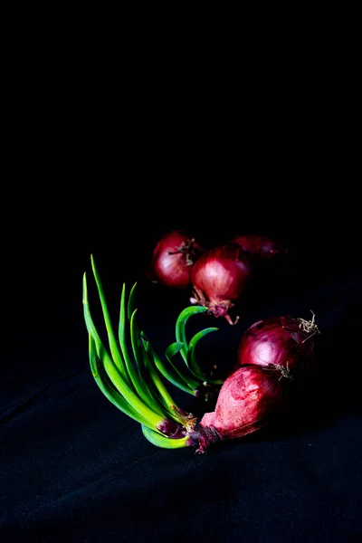 Röd Lök Med Gröna Stjälkar — Stockfoto