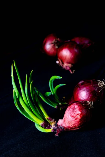 Red Onions Green Stems — Stock Photo, Image