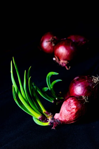 Röd Lök Med Gröna Stjälkar — Stockfoto