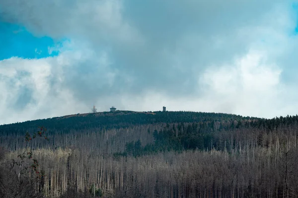 Ecological Disaster Harz Mountains — Stock Photo, Image