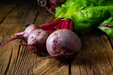 Botwina, Kırsal Genç Pancar Kökü