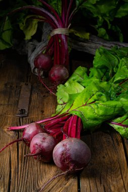 Botwina, Kırsal Genç Pancar Kökü