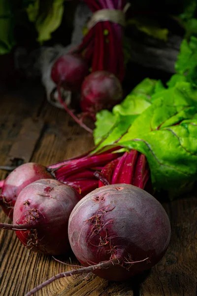 Botwina, Kırsal Genç Pancar Kökü
