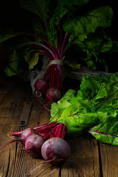 Ботвина Rustic Young Beetroot — стоковое фото