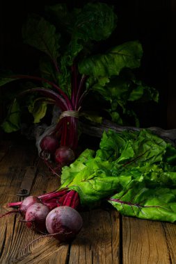 Botwina, Kırsal Genç Pancar Kökü