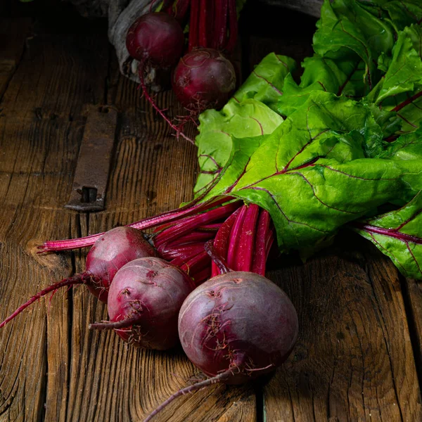 Botwina Rustic Young Beetroot — 图库照片