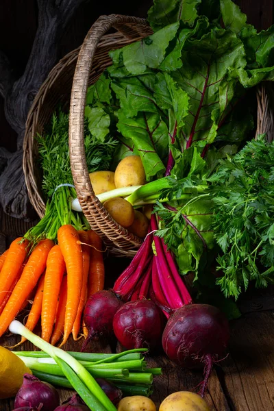 不同蔬菜的篮子 甜菜和胡萝卜 — 图库照片