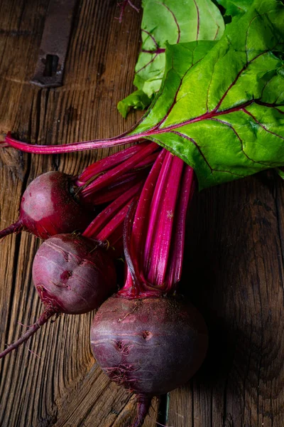 Botwina Rustic Young Beetroot — Stock Photo, Image