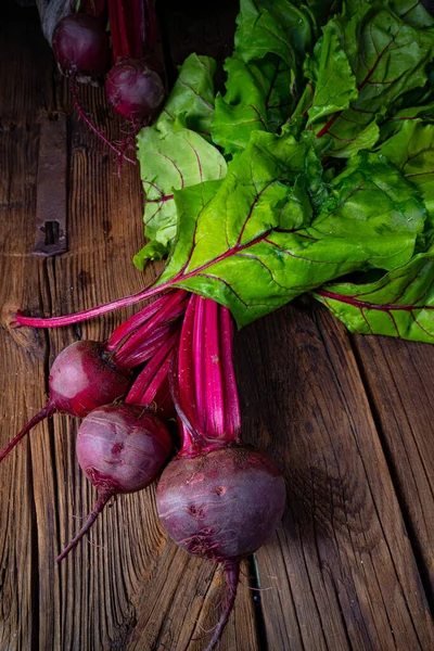 Ботвина Rustic Young Beetroot — стоковое фото