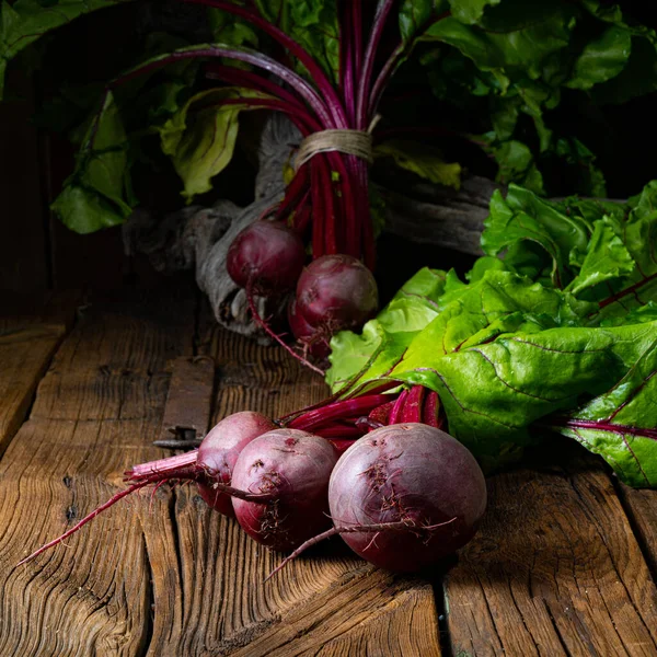 Ботвина Rustic Young Beetroot — стоковое фото