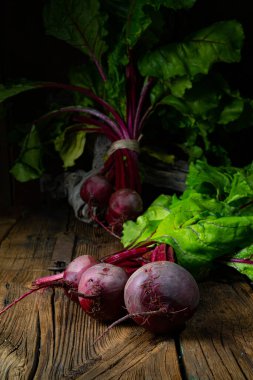 Botwina, Kırsal Genç Pancar Kökü