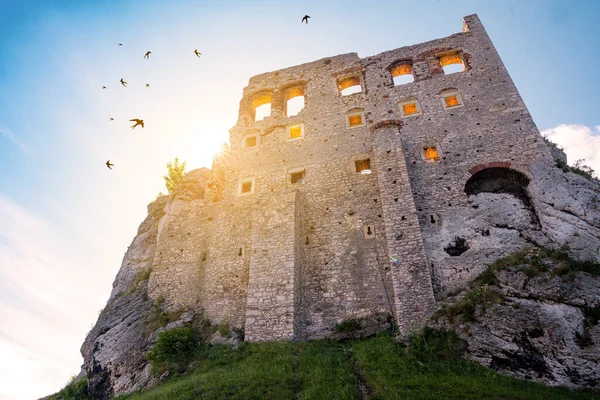 Ruinas Del Antiguo Castillo Ogrodzieniec —  Fotos de Stock