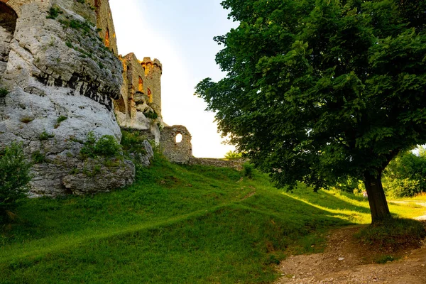 Vecchie Rovine Del Castello Ogrodzieniec — Foto Stock