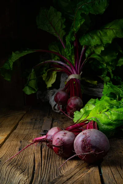 Botwina Rustic Young Beetroot — Stock Photo, Image