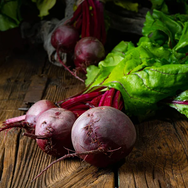 Ботвина Rustic Young Beetroot — стоковое фото