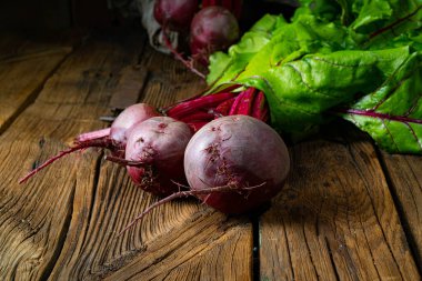 Botwina, Kırsal Genç Pancar Kökü