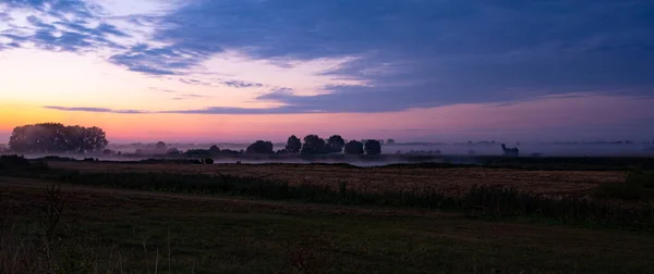 Río Warta Amanecer —  Fotos de Stock