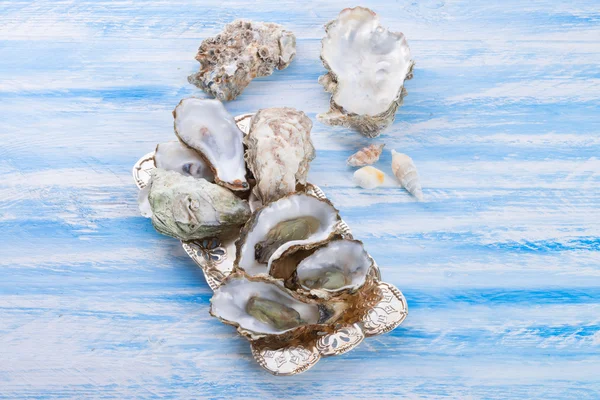 Oysters close up — Stock Photo, Image